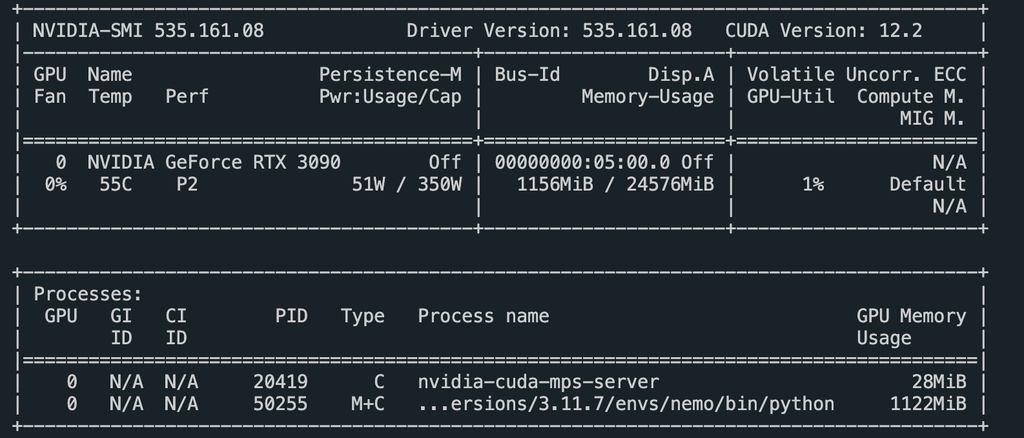 GPU Usage for Nvidia Nemo