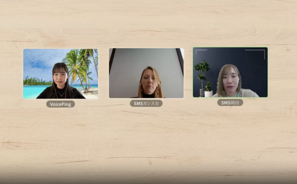 Interview conducted in the VoicePing meeting room