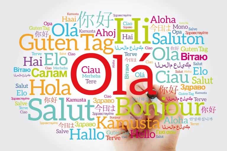 Translation languages