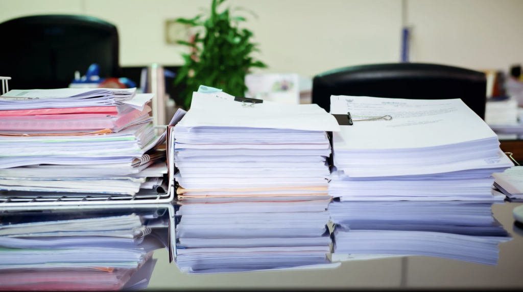 Information Organization