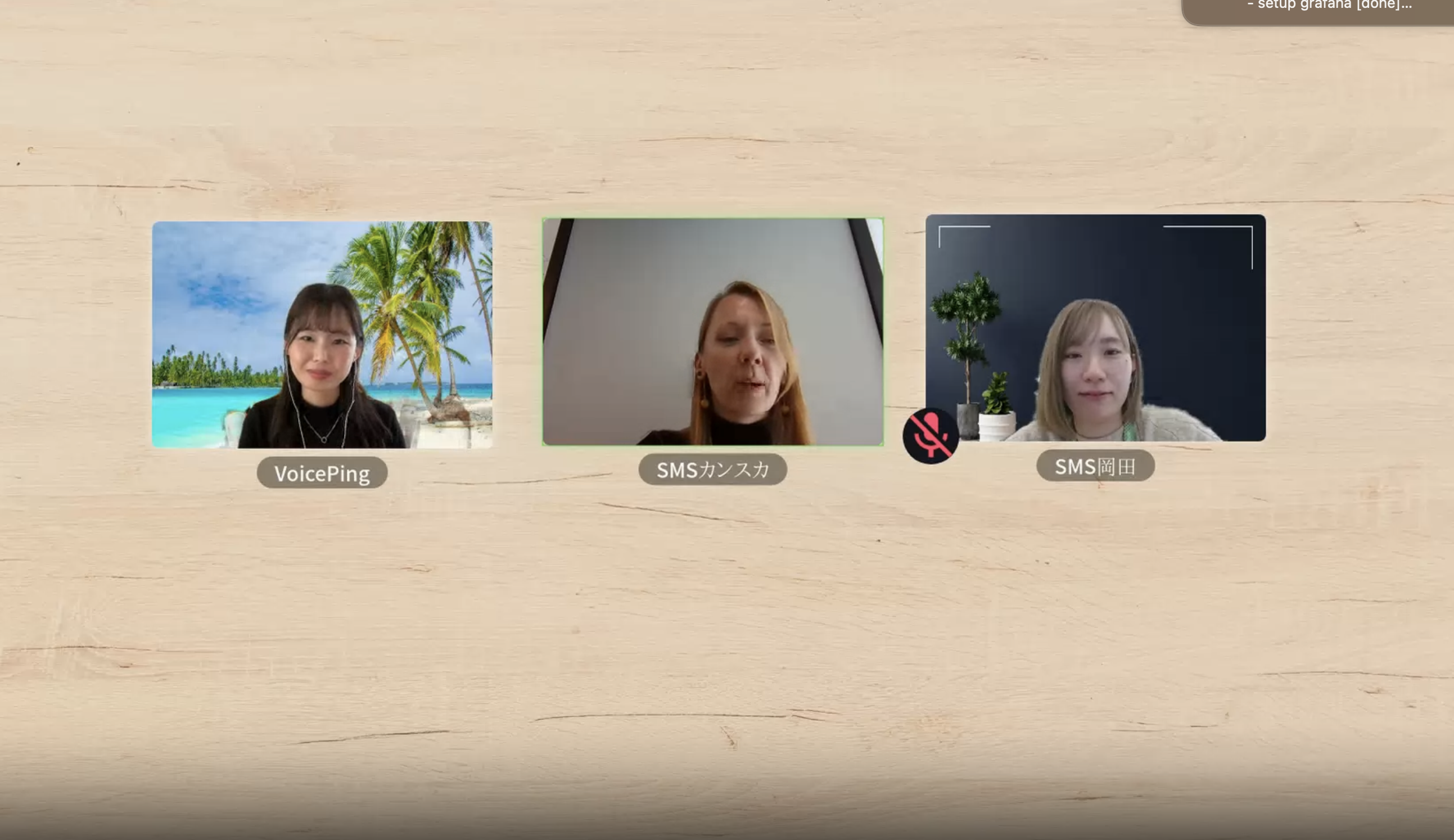 VoicePing Translation Display